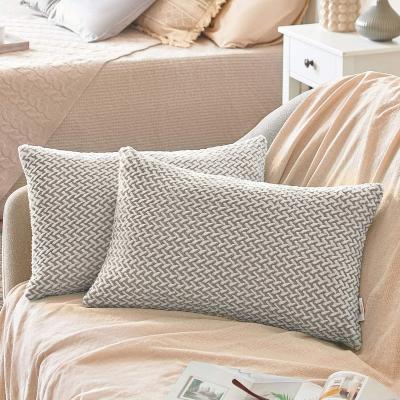 China Anti-Static Fiber Premium Plush Living Room Cushions Decorative Accessories Perfect Couch, Sofa, Bed Pillow Cover for sale