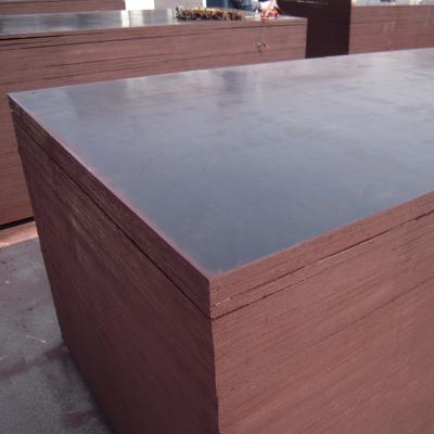 China Poplar Construction Use Shuttering Plywood / Timber For Sale for sale