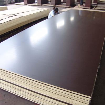 China Modern Prefab Joint Houses Finger Joint Film Faced Plywood for sale