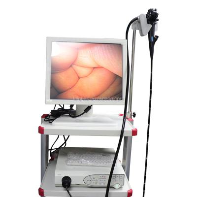 China Plastic LHP6100 Hospital Used Video Endoscope System Portable Medical Gastroscope Endoscope System Price for sale