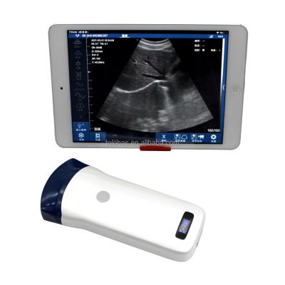 China LHACP5C Support IOS Android Ultrasound Device Plastic Handheld Handheld Ultrasound Prices Wireless Ultrasound Scanner for sale