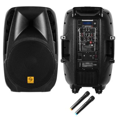 China 2021 best-selling speaker 15inch battery portable speaker plastic plastic cabinet for sale