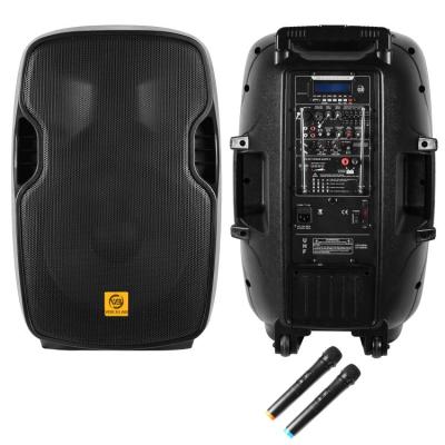 China Yes ELA15-BM100P2U7 15 inch Rechargeable Speaker Portable Plastic Trolley Speaker for sale