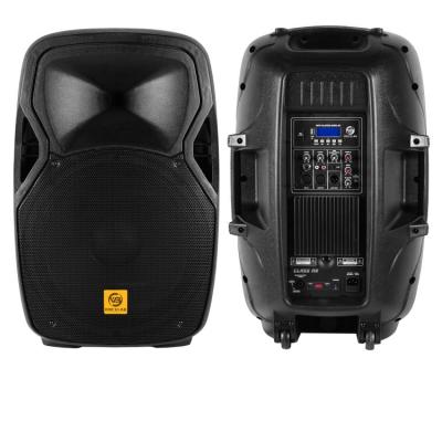 China Professional Audio Stage ELC15-BM150A Professional 15 Inch DJ PA Speaker Audio for sale