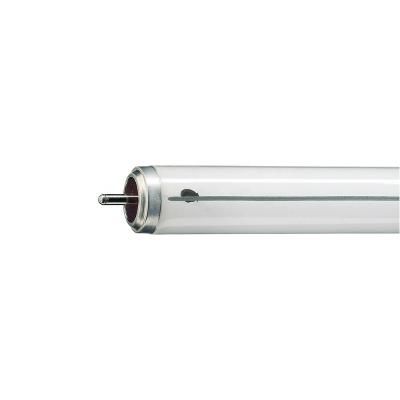 China Lamp Fluorescent Lamps Explosion Proof Telex Glass XL 40W Fa6 Single Pin Pin End for sale