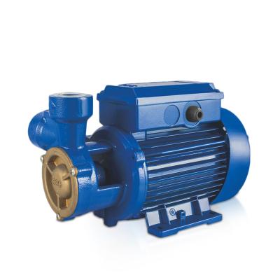 China Water pump best selling goods using intelligent portable water pump water pump vortex pumps for sale