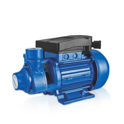 China Hot Sale Quality Water Pump Small Vortex Water Motor Pump Price Irrigation Water Pump For Sale for sale