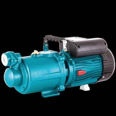 China Developing World Water Solutions PILOT High Quality Garden Self Priming Impeller ZGD 750w 220V Water Screw Pump Jet Pump for sale