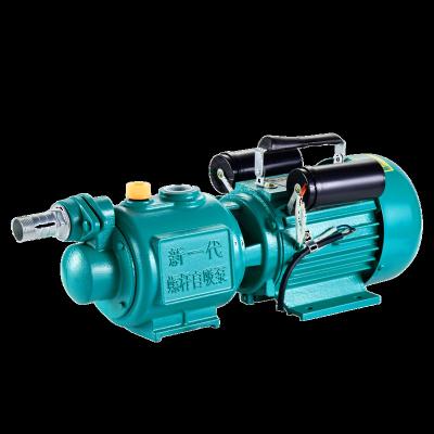 China Developing World Water Solutions PILOT High Quality Garden Self Priming Impeller ZGD 750w 220V Water Screw Pump Jet Pump for sale