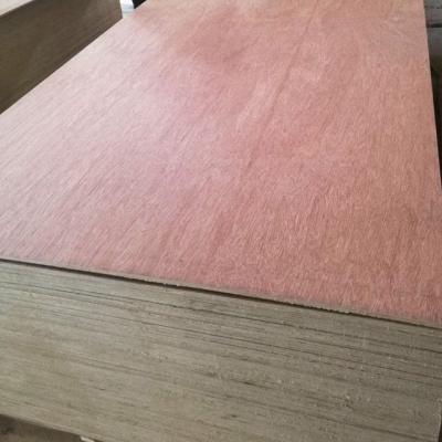 China Philippine traditional phenolic bintangor price commercial 3/4 board plywood for sale