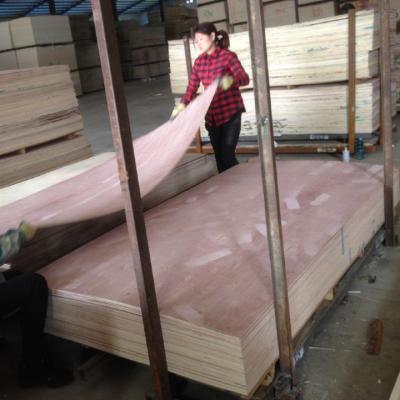 China Furniture Decoration 1220x2440x3mm Melamine Plywood With OSL Paper for sale