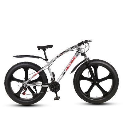 China DIRT JUMP fat tire bike, double disc brake 26 inch bicycle snow beach cheap adult bike for sale