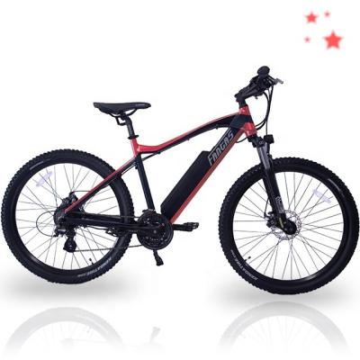 China Aluminum Alloy Fantas-Bike City-hunter002 48V750W Mountain Bike Sale for sale