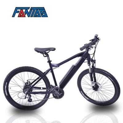 China Fantas-Bike City-hunter002 48v 500w Alloy Electric Mountain Bicycle Aluminum E-Bike for Tall People for sale