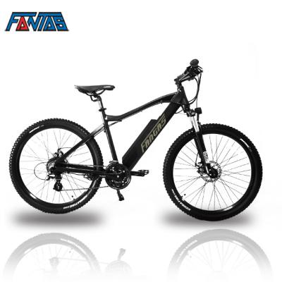 China Aluminum Alloy Fantas-bicycle City-hunter002 250w-1000w 26 Electric Bicycle for sale