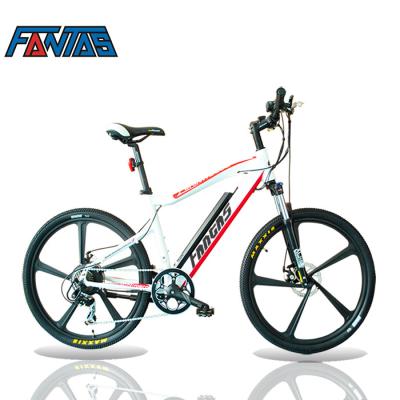 China Fantas Spiderman 36V1000W13Ah e Mountain Bike - Aluminum Alloy Bike for sale