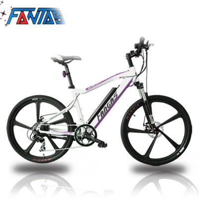 China Classic Alloy Fantas-Bike SpiderMan48V1000W13Ah Aluminum e Bike for sale