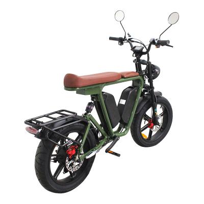 China Ebike 48v 1000w Motor Long Range Aluminum Alloy Dual Batteries 22ah*2 Electric Dirt Bike High Speed ​​Fat Tire Electric Bicycle for sale