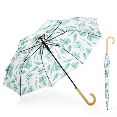 China Japanese style fashionable decorative lovely lady straight umbrella for sale