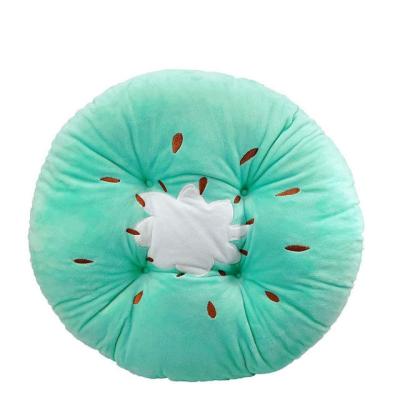 China Creative decoration new plush toys directly supplied by manufacturers lovely fruit cushion office nap watermelon pillow for sale