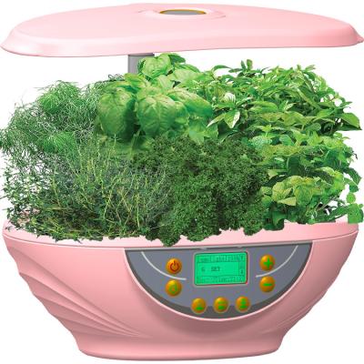 China China Factory Sale Modern Garden Smart Fashion And Durable Flower Pot With Display for sale