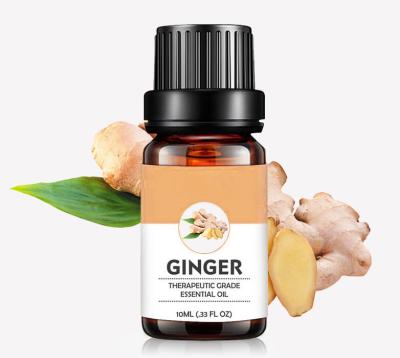 China Firming Private Label Ginger Essential Oil Pure Natural Organic Ginger Oil Hair Growth Wholesale for sale