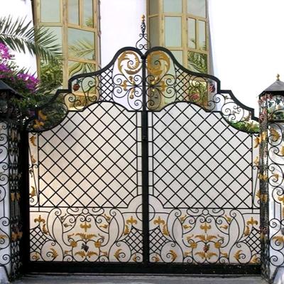 China Top Sell Modern Iron Gate Fancy Design Modern Front Double Door For Garden for sale