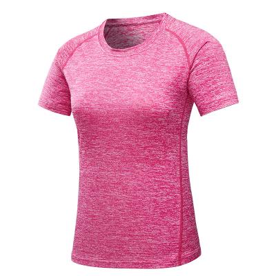 China Quick-drying women's fitness clothes quick-drying clothing Chinese style short sleeve clothes men's outdoor quick-dryingt-shirt for sale