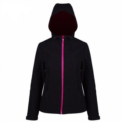 China Breathable Hot Selling Women Fashion Composite Jacket Stylish for sale