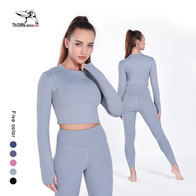 China Private Label Breathable Seamless Yoga Long Sleeve Sets Crop Top And Yoga Leggings, Yoga Suit In Active Fitness Wear For Women for sale