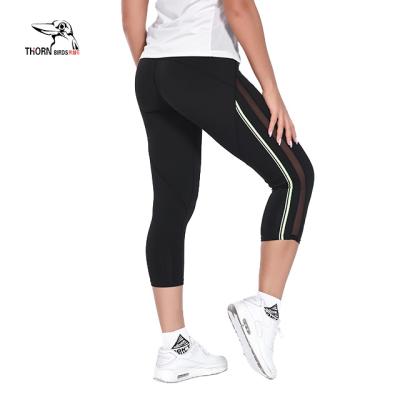 China High Quality Breathable Women Fitness Gaiters Sport Plus Size Jogging Legging Suits Women Sport Pants for sale