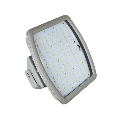 China ATEX Meanwell driver waterproof 100w led explosion proof flood light for sale