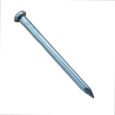 China New Common Nails Steel Galvanized Concrete Nails Iron Nails for sale