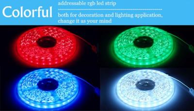 China Epistar 12v led strip  240led/m SMD3528 strip light 24v double row led strip waterproof 2700-6500K for sale