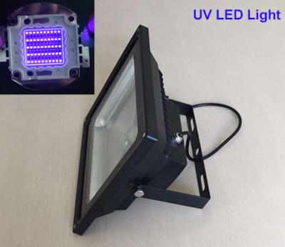 China LED Flood Light  5000lm Wavelength 390-405nm 2700-7000K 50W UV With Plug CE ROHS for sale