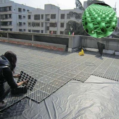 China HDPE Plastic Water Impounding Drainage Board Garage Roof Greening Garden Sale at Best for sale