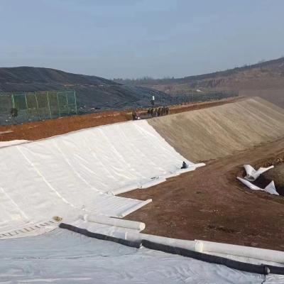 China Lightweight Landfill with High Tensile Strength Nonwoven Geotextile and Geomembrane for sale