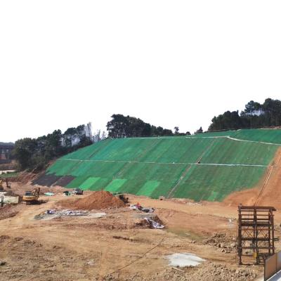 China Apoyo técnico en línea 3D Control de la erosión Geonet para la protección de las laderas de montaña de la carretera en venta