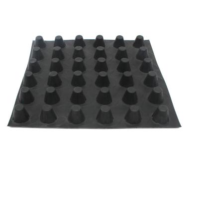 Cina Moderno design Black HDPE Plastic Drainage Board per un'efficace verdeggiatura del tetto in pendenza in vendita