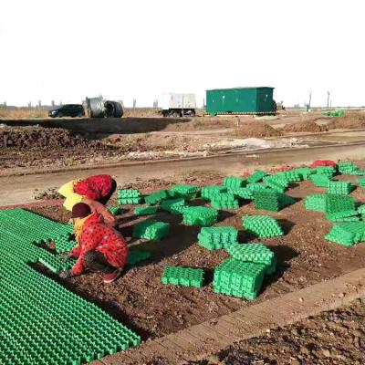 China 500 mm Länge Paver für Parkplätze und Gärten Umweltfreundliches HDPE-Material zu verkaufen