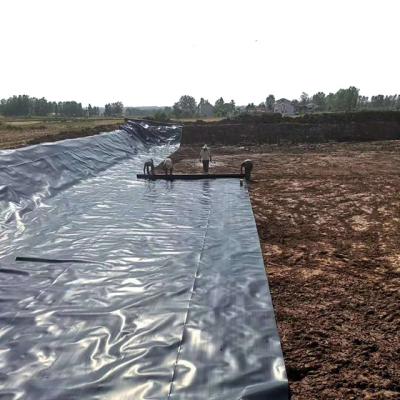 China Geomembranen in industriële stijl voor 2 mm stortplaatsen Biodigester HDPE FISH POND LINER Te koop