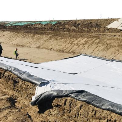 China s Municipal Water Conservancy Market Geosynthetic Clay Liner for Waterproof Projects for sale