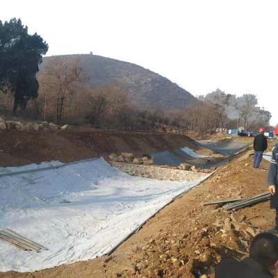 China Geosynthetic Clay Liner for Municipal Water Conservancy Effective and Durable Solution for sale