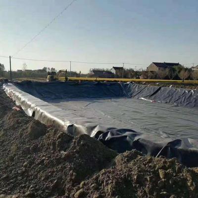 China Geomembrane Liner voor visvijver stortplaats Dam Waterdicht Naverkoopservice Verkoop HDPE Te koop