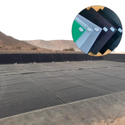 China 1.0mm 1,5mm Zwart Plastic Geomembrane voor rivier en afvoer Reservoir Anti-lekkage Te koop