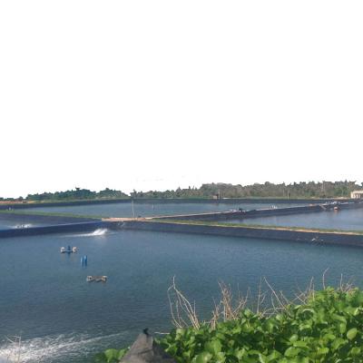 China HDPE Black Fish Farm Pond Liner Plastic Geomembrane for Fish Pond Industrial Design Style for sale