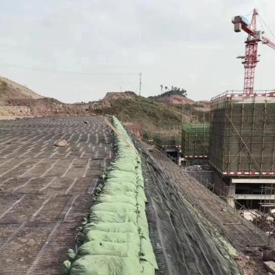 China Best and 100% PP Material High Strength Polypropylene Geogrid for Reinforcing Roadbed for sale