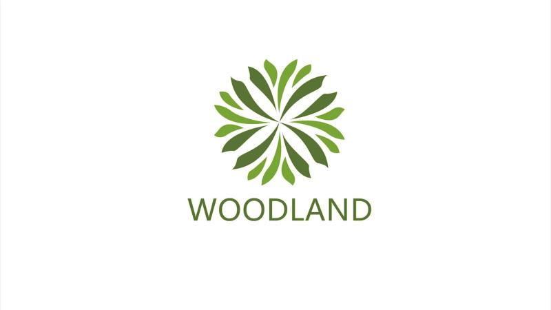 Verified China supplier - Dongguan Woodland Artificial Plants Industrial Co., Ltd.