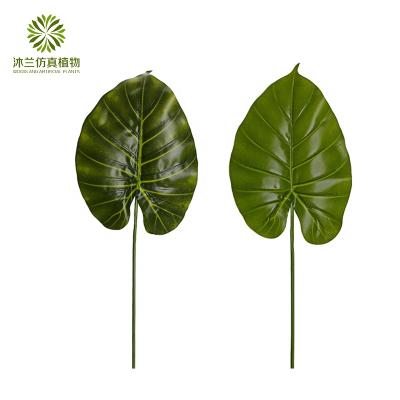 China Decoration Hotsale 65cm Simulation Leaves Artificial Alocasia Macrorrhizos Leaves For Sale Garden Decoration Artificial Plastic Leaves for sale