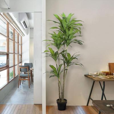 China Simulation Artificial Dracaena Tree PVC 190cm Blood Dragon Eco-friendly Decorative Tree In Stock for sale